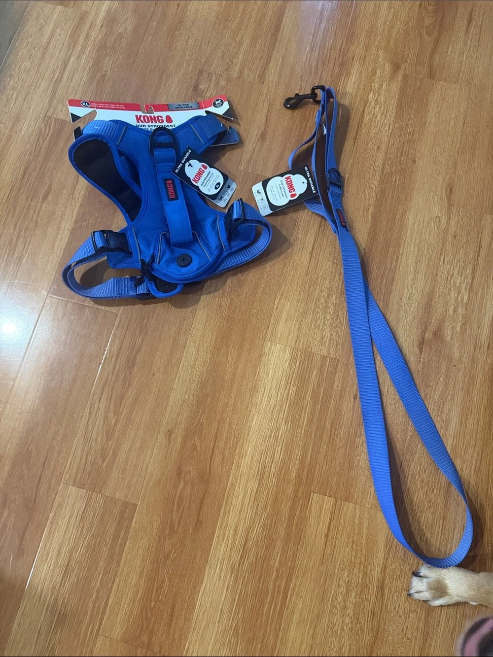 Kong Blue Dog Harness & Leash Set XL